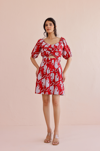 Wild Whimsy Handblock Dress